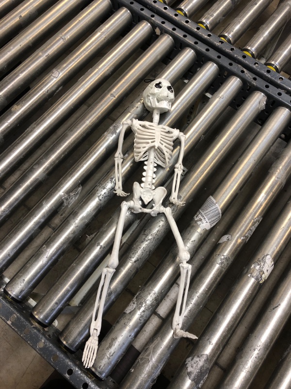 Photo 2 of 16” Posable Halloween Skeleton- Full Body Halloween Skeleton with Movable Joints for Haunted House Props Decorations------Lightly used 