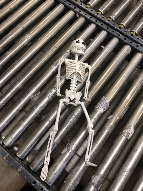 Photo 1 of 16” Posable Halloween Skeleton- Full Body Halloween Skeleton with Movable Joints for Haunted House Props Decorations------Lightly used 