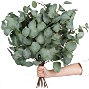 Photo 1 of 192 Pieces Eucalyptus Leaves Faux Greenery Stems Artificial Eucalyptus Branches Fake Greenery Plants Stems for Vase Home Party Wedding Decor
