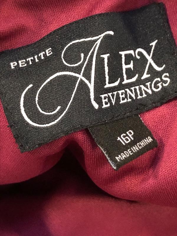 Photo 4 of Alex Evenings Women's Short Embroidered Dresses 16 Petite Cranberry