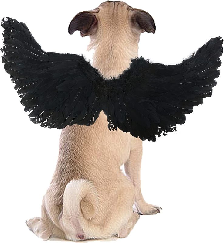 Photo 1 of YAODHAOD Pet Halloween Costume, Cat Halloween Costumes Angel Devil Wings Shape Clothing, Cosplay Black White Wing for Dog Cat Rabbit Piggy,Cute Puppy Cat Dress Up Accessories (Black, Arc Shape)