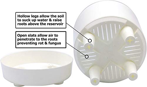 Photo 2 of 12" Self-Watering+ Self-Aerating + High Drainage + Ventilated Deep Reservoir Modern Round Planter Maintains Healthy Roots and Moisture for House Plant
