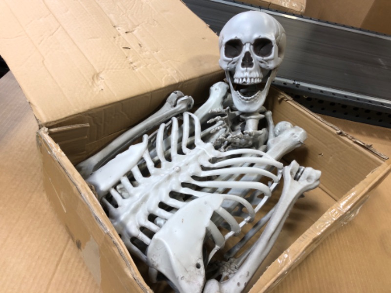 Photo 2 of 5.4FT Skeletons for Halloween Full Size, Realistic Posable Life Size  