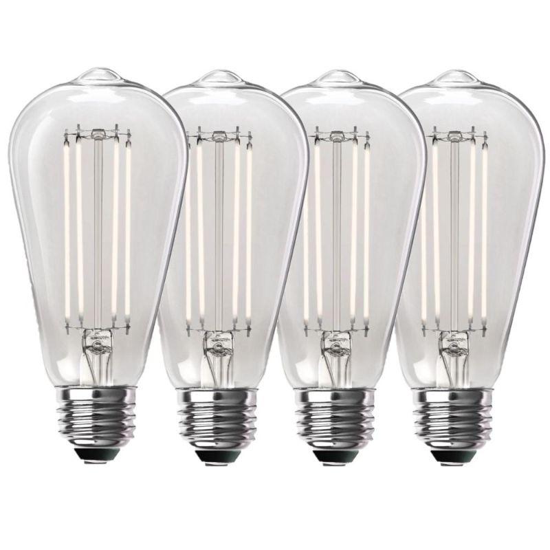 Photo 1 of Feit Electric 100-Watt Equivalent ST19 Dimmable Straight Filament Clear Glass Vintage Edison LED Light Bulb, Daylight (4-Pack)
