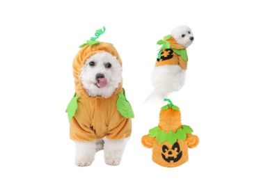 Photo 1 of Pumpkin Dog Costume - XL