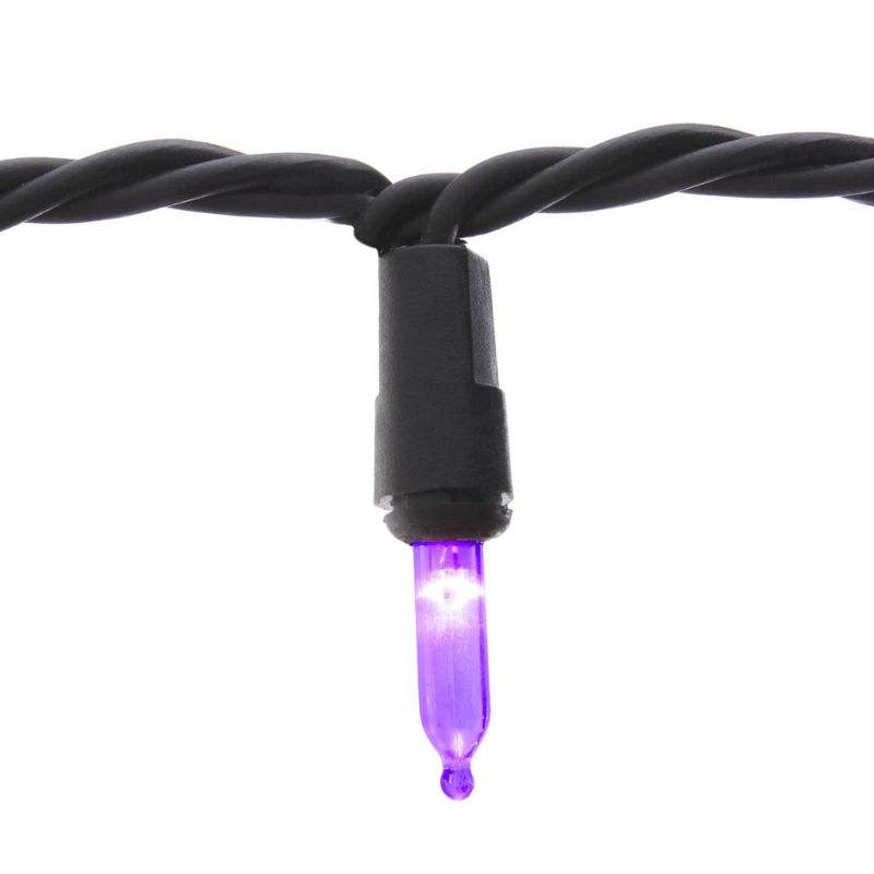 Photo 1 of 2 29 ft. 6 in. 100-Count Smooth LED Mini Purple Halloween String Lights