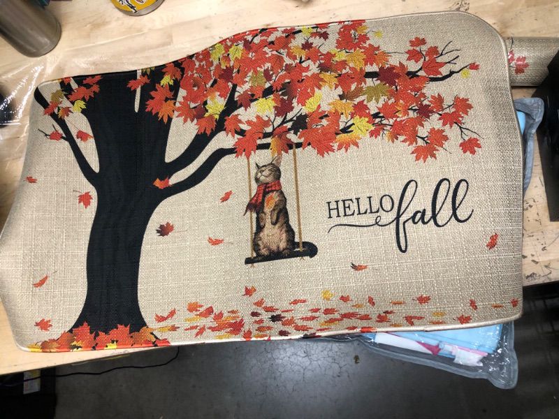 Photo 1 of 30x17 fall door mat