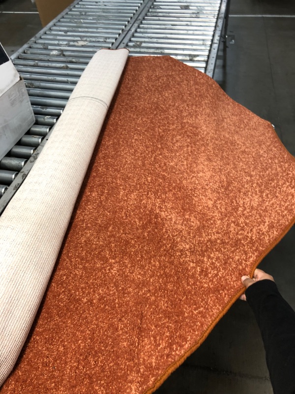 Photo 1 of ***Unbranded orange rug 64"