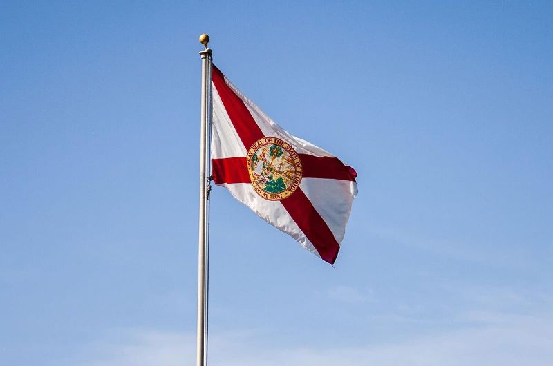 Photo 1 of **FLAG ONLY*** 
Florida Flag 3x5 Outdoor 
