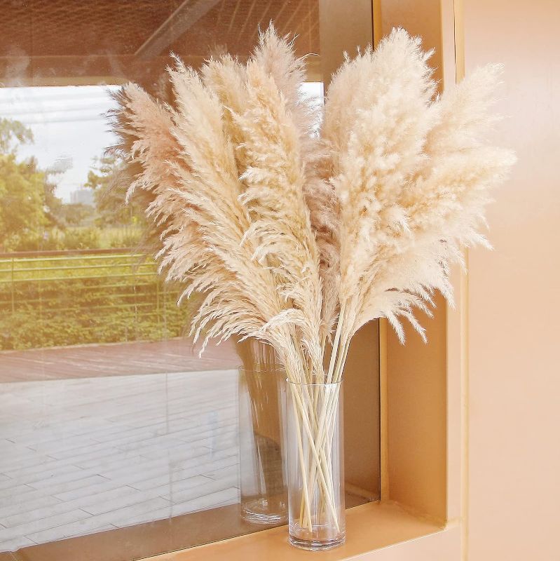 Photo 1 of  Natural Pampas Grass Decor Tall, pompas Grass, Tall Pampas Grass for Wedding, Party, Farmhouse, Boho Home Decor