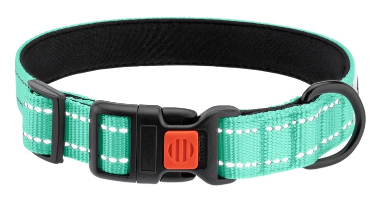 Photo 1 of 2 CollarDirect Reflective Padded Dog Collar for a Small, Medium, Large Dog or Puppy with a Quick Release Buckle - Boy and Girl - Nylon Suitable for Swimming (12-16 Inch, Mint Green