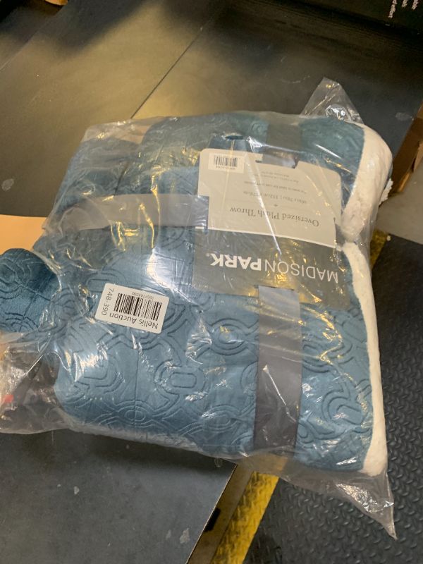 Photo 1 of Madison Park Elma Luxury Oversized Textured Plush Throw Blue 60*70 Premium Soft Cozy Embossed Micro Velour For Bed, Coach or Sofa