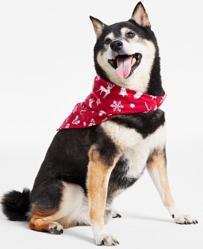 Photo 1 of Family Pajamas Matching Merry Cotton Printed Pet Bandana - Red - Size Small/Medium