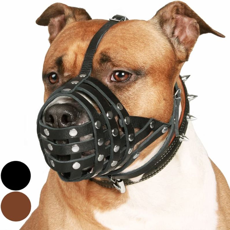 Photo 1 of  Dog Muzzle   (Black)
