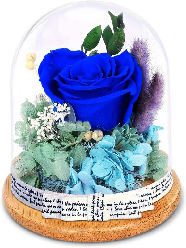 Photo 1 of KING DOO Preserved Flowers Rose for Women Mom Grandma Wife. Forever Eternal Blue Real Rose Gift Thanksgiving Christmas
