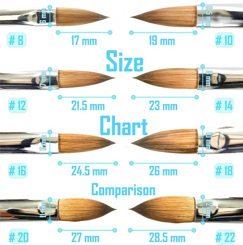 Photo 3 of Professional 100% Kolinsky Acrylic Nail Brush For Gel 3D Powder Designs Nail Art Sculptor Manicure Pedicure Wooden Handle High Quality (#18 Crimp)