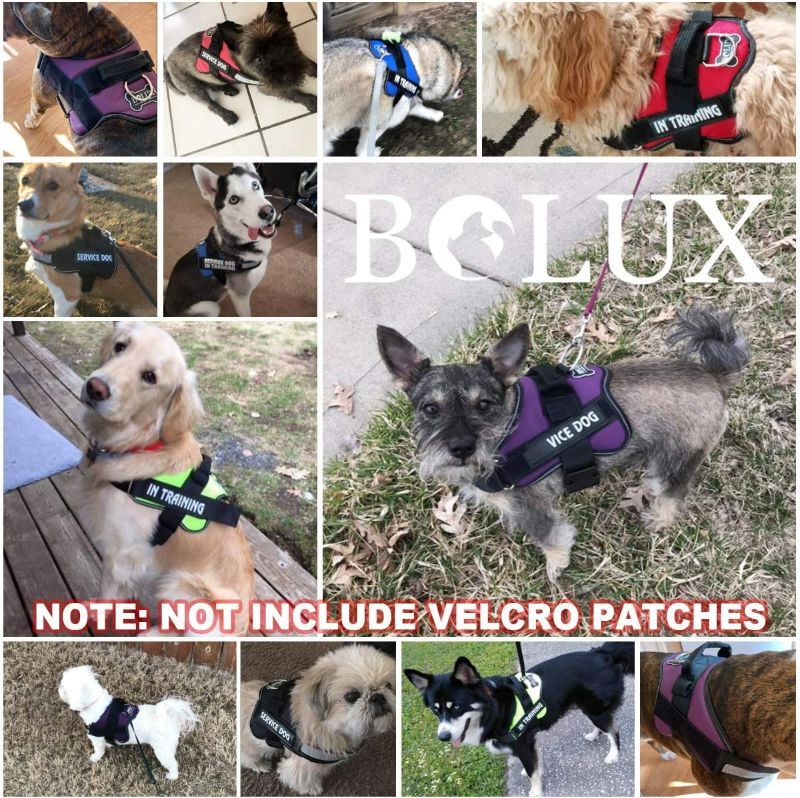 Photo 5 of Bolux Dog Harness, No-Pull Reflective Dog Vest, Breathable Adjustable Pet Harness with Handle for Outdoor Walking - No More Pulling, Tugging or Choking (Rose red) Service Dog Patch Included
