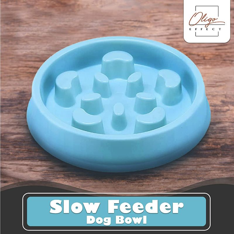 Photo 2 of UPSKY Slow Feeder Dog Bowl No Choking Slow Feeder Bloat Stop Dog Food Water Bowl with Funny Pattern for Medium Small Breed & Puppies. (12-40 lbs) 