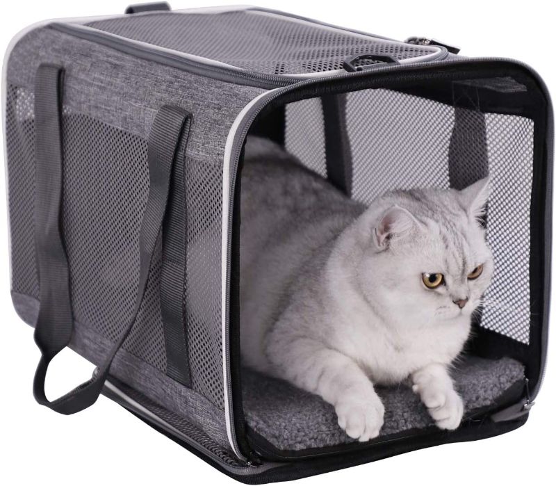 Photo 1 of Top Load Pet Carrier for Large and Medium Cats