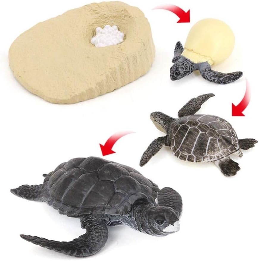 Photo 1 of MODEBESO 4PCS Sea Turtle Animal Life Cycle,Insect Growth Cycle Model,Hand Painting Animal Figures,Educational Toy,Cake Toppers Christmas Birthday Gift for Kids Todllers (Sea Turtle(A))