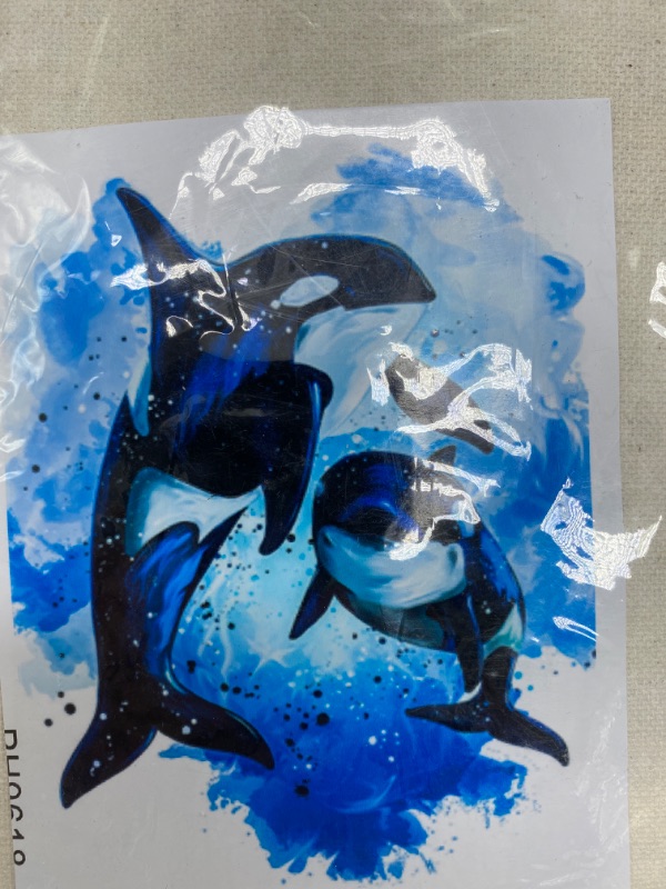 Photo 1 of DOLPHIN PAINTING KIT