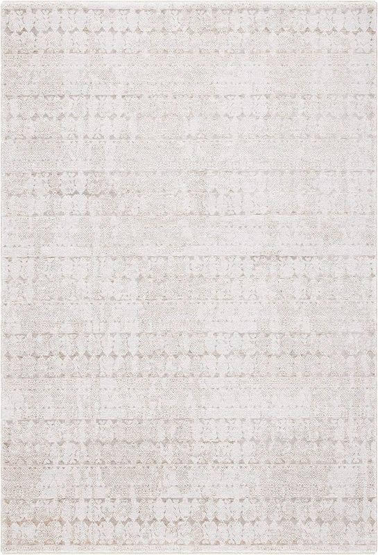 Photo 2 of SAFAVIEH Webster Collection 8' x 10' Beige/Grey WBS338B Distressed Premium Viscose Area Rug
