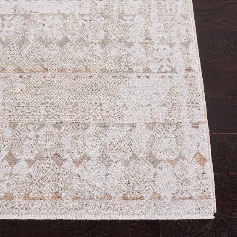 Photo 3 of SAFAVIEH Webster Collection 8' x 10' Beige/Grey WBS338B Distressed Premium Viscose Area Rug
