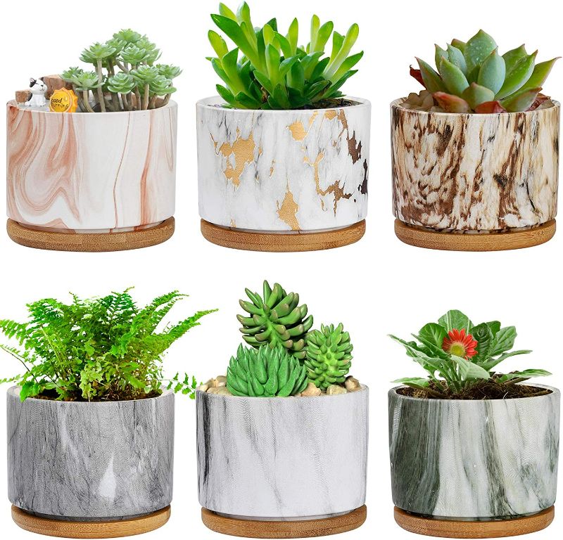 Photo 1 of Succulent Pots, 3.5'' Marbling Succulent Plant Pots with Drainage and Trays, Great for Home Decor and Ideal Gift, Set of 6
