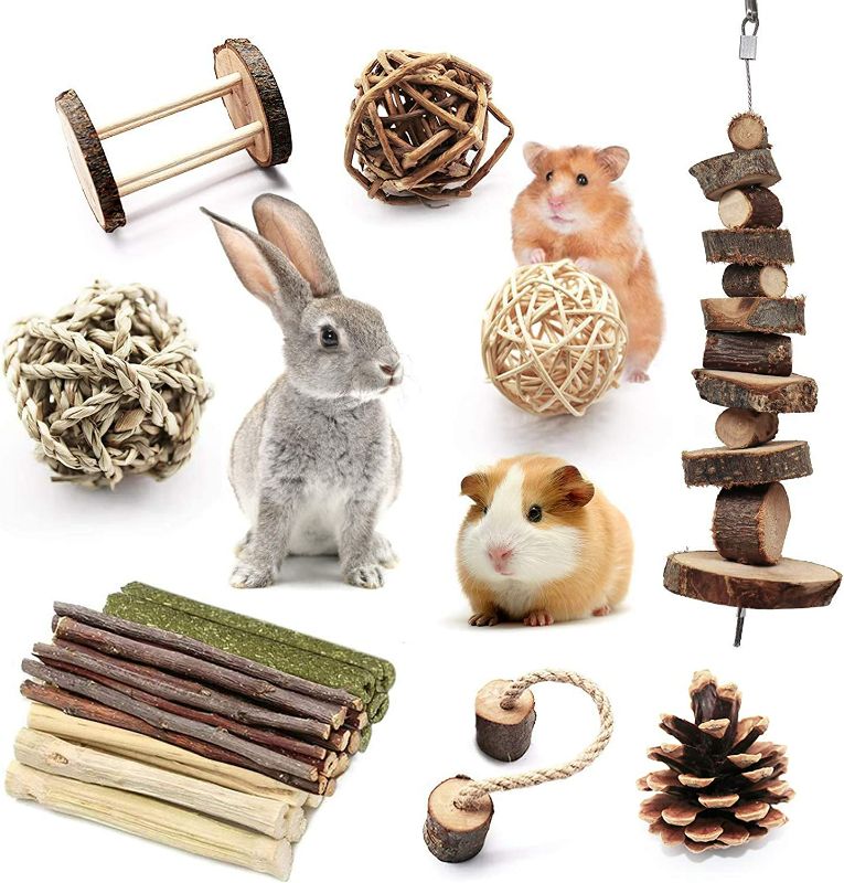 Photo 1 of 10Pcs Guinea Pig Toy Bunny Toy, Chinchilla Snacks Toys, Hamster Chew Toy, Organic Natural Apple Wood Dumbells for Gerbil, Hamster, Rabbit, Small Animal Molar Accessories Supplies for Teeth Grinding
