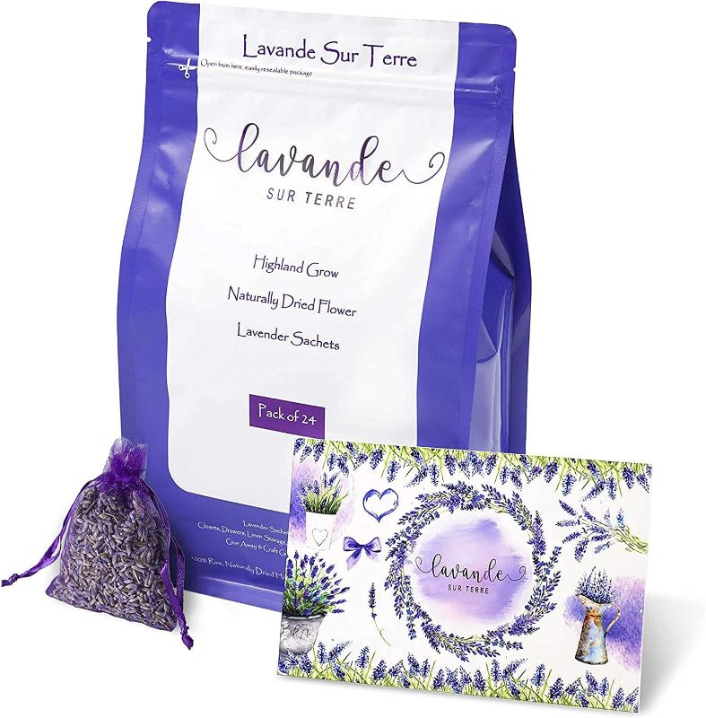 Photo 3 of French Lavender Sachets for Drawers and Closets Fresh Scents, Home Fragrance Sachet, Pack of 24, Purple, LV-S-C-24-1
