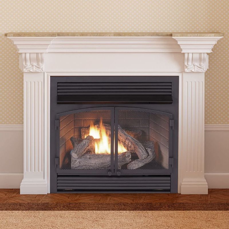 Photo 1 of Duluth Forge Dual Fuel Ventless Fireplace Insert-32,000 BTU, Remote Control, FDF400RT-ZC, Black 