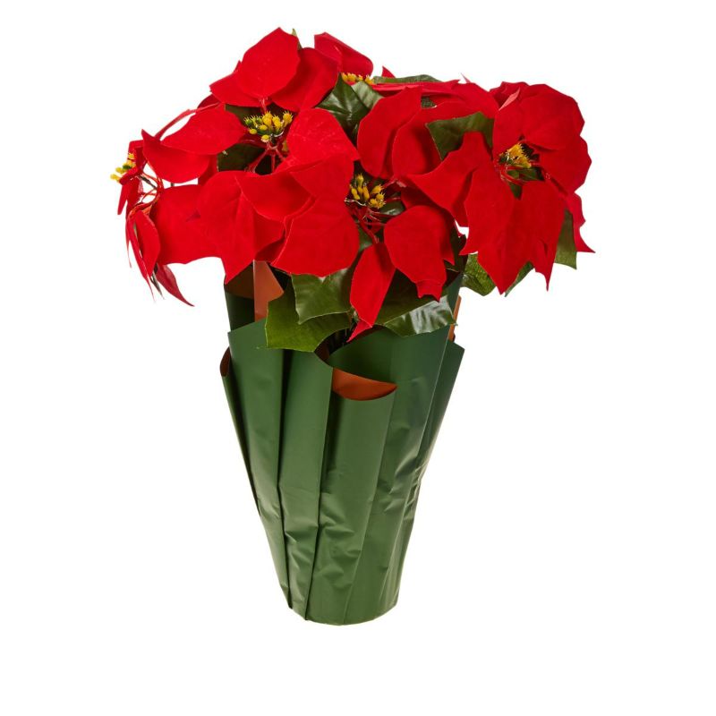 Photo 1 of Winter Lane Battery-Operated 18" Poinsettia with Lights and Timer
batteries not included