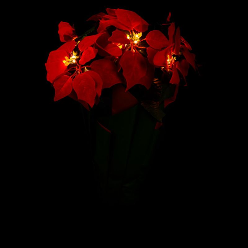 Photo 2 of Winter Lane Battery-Operated 18" Poinsettia with Lights and Timer
batteries not included