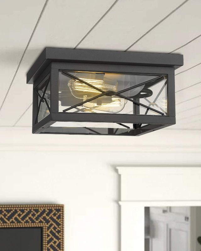 Photo 1 of Emliviar 12 Inch Ceiling Light Fixture, 2-Light Flush Mount Ceiling Light in Black Finish, 0387B-CL BK
