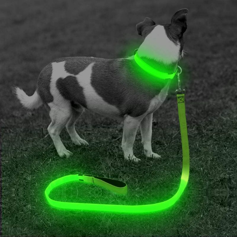 Photo 2 of  LED Lighted Dog Leash - USB Rechargeable Nylon Puppy Lead, Safety Dog Lights for Night Walking (47 Inch, Neon Green)