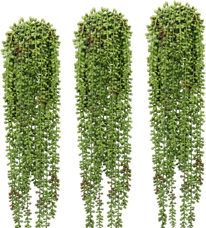 Photo 1 of 3 Pcs String of Pearls Plant Artificial Hanging Succulents Plants for Home Garden Decor (Pots Not Included)