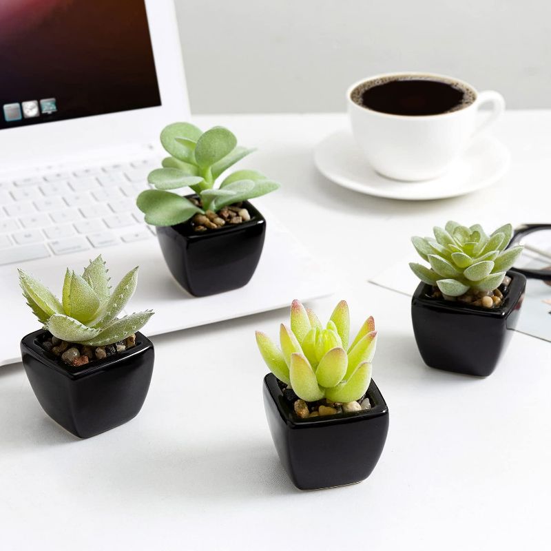 Photo 2 of MyGift Mini Assorted Artificial Succulent Fake Indoor House Plants in Square Black Ceramic Pots, Set of 4