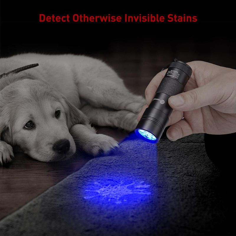 Photo 2 of TaoTronics Black Light, 12 LEDs 395nm UV Blacklight Flashlights Detector for Pets Urine and Stains with 3 Free AAA Batteries NEW 