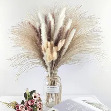Photo 1 of  Dried Pampas Grass Premium Dry Bouquet With Naturally Pampa For Boho Home Decor Wedding Decoration
