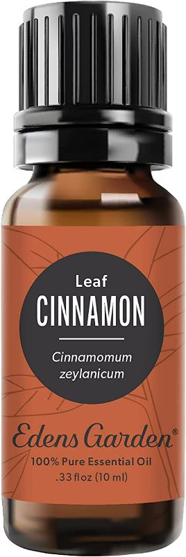 Photo 1 of Edens Garden Cinnamon- Leaf Essential Oil, 100% Pure Therapeutic Grade (Undiluted Natural/ Homeopathic Aromatherapy Scented Essential Oil Singles) 10 ml NEW