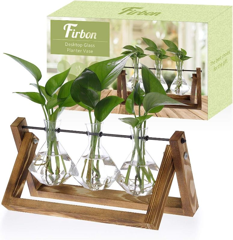 Photo 1 of Firbon Plant Propagation Station, 3 Diamond Glass Planter Bulb Vase, Desktop Air Plant Terrarium with Solid Wooden Stand for Hydroponics Plants Home Office Garden Decor