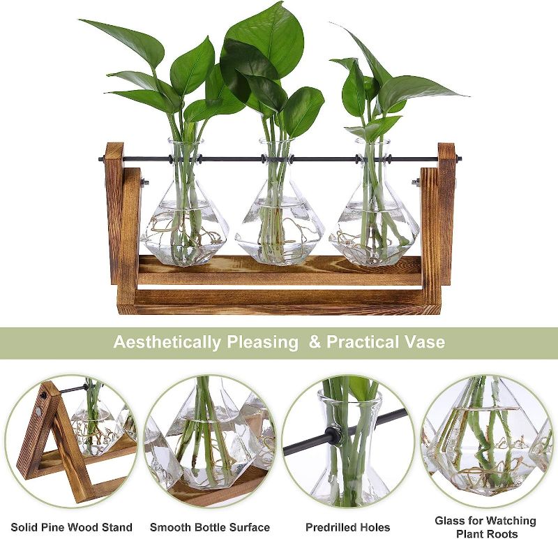 Photo 3 of Firbon Plant Propagation Station, 3 Diamond Glass Planter Bulb Vase, Desktop Air Plant Terrarium with Solid Wooden Stand for Hydroponics Plants Home Office Garden Decor