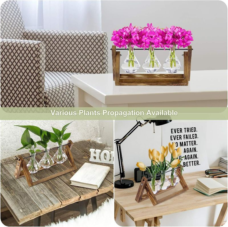 Photo 5 of Firbon Plant Propagation Station, 3 Diamond Glass Planter Bulb Vase, Desktop Air Plant Terrarium with Solid Wooden Stand for Hydroponics Plants Home Office Garden Decor