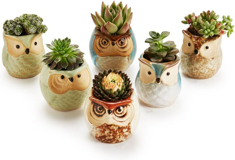 Photo 3 of SUN-E SE Owl Pot Ceramic Flowing Glaze Base Serial Set Succulent Plant Pot Cactus Plant Pot Flower Pot Container Planter with Drainage Hole Home Office Desk Garden Gift Idea 6pcs 2.5 Inch