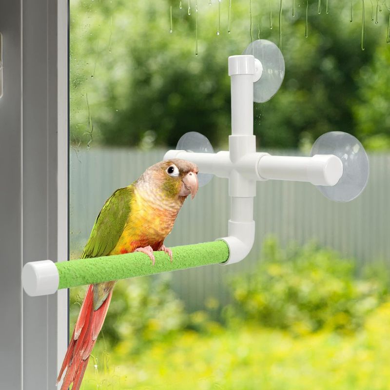 Photo 3 of ( PINK) Bird Portable Suction Cup Shower Perch Window Wall Standing Platform for Parrot Parakeet Conure Cockatiel African Grey