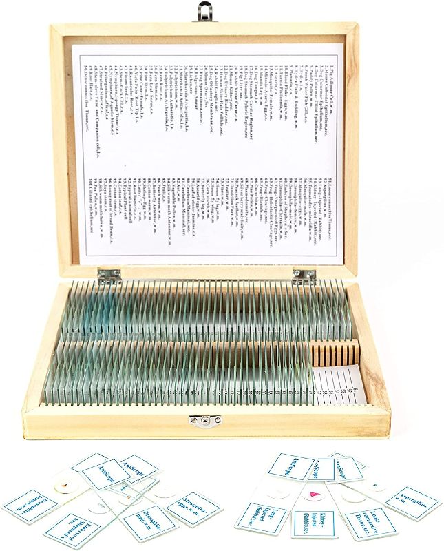 Photo 1 of AmScope PS100A Prepared Microscope Slide Set for Basic Biological Science Education, 100 Slides, Set A, Includes Fitted Wooden Case