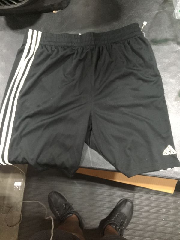 Photo 1 of XL Gym Shorts