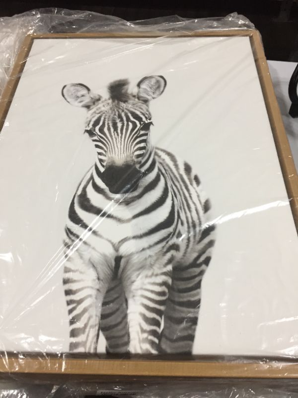 Photo 2 of 18" x 24" Sylvie Baby Zebra Framed Canvas by Amy Peterson Natural - Kate & Laurel All Things Decor

