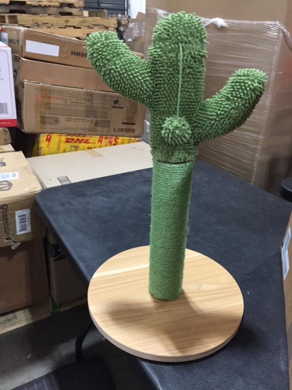 Photo 1 of Cactus Cat Scratcher 
