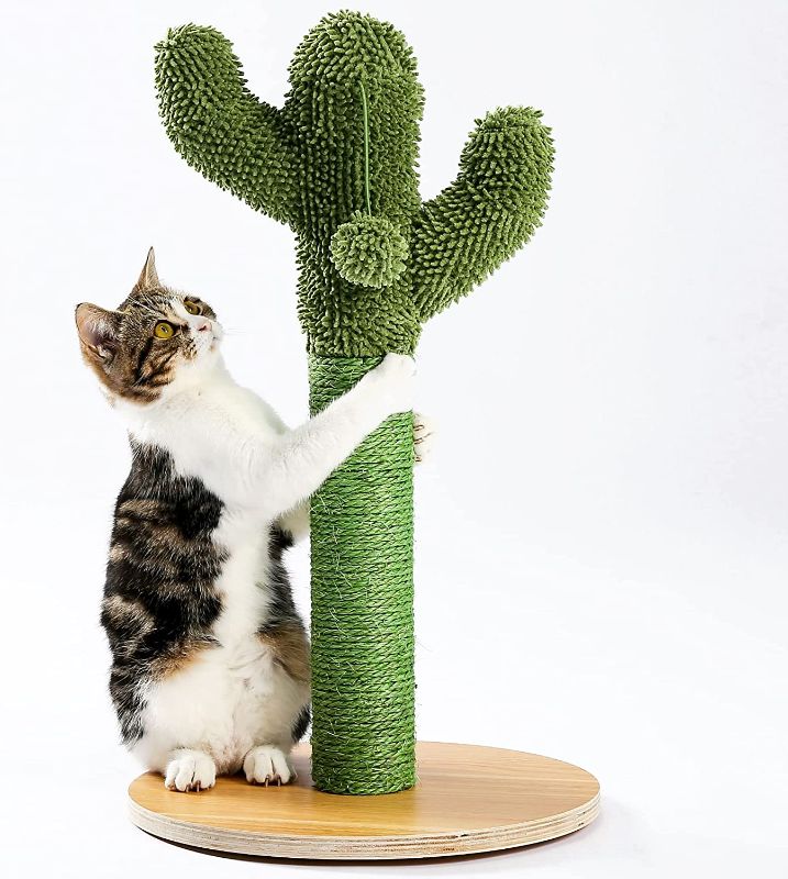 Photo 1 of Cactus Cat Scratcher 
